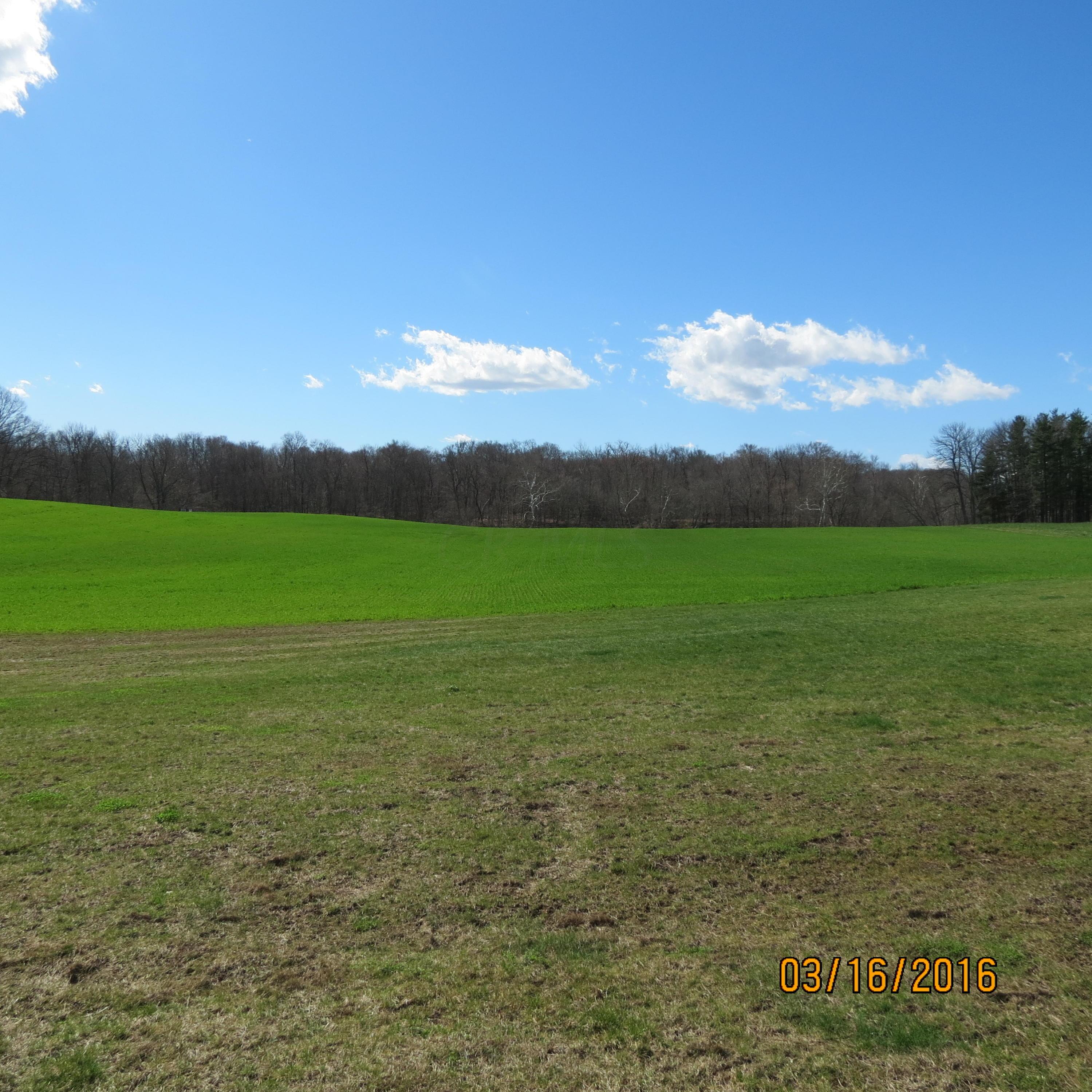 4159 Fosnaugh School Road Southwest Circleville, OH 43113 - Photo 8 of 34 Gallery Image 8