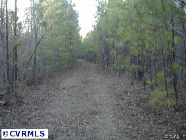 88-3 Halligan Park Road Carson, VA 23830 - Photo 3 of 5 Other
