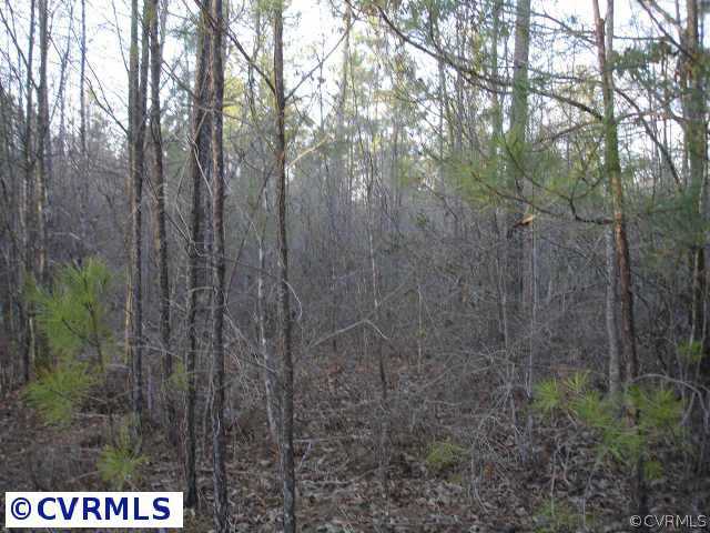 88-3 Halligan Park Road Carson, VA 23830 - Photo 4 of 5 Other