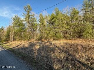 Hollow Lane Oneida, TN 37841 - Photo 11 of 11 IMG_5572
