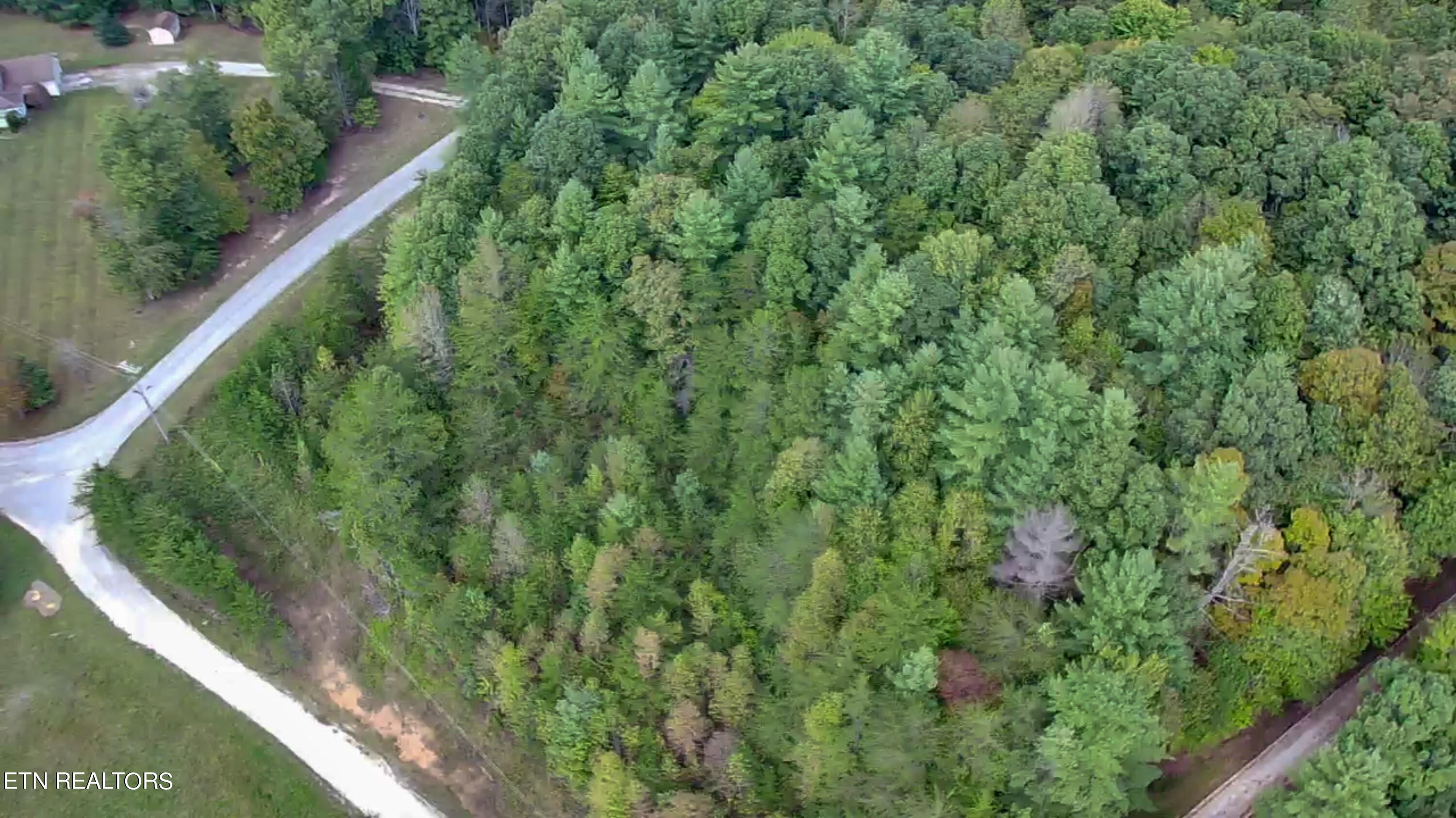 Hollow Lane Oneida, TN 37841 - Photo 2 of 11 IMG_2942