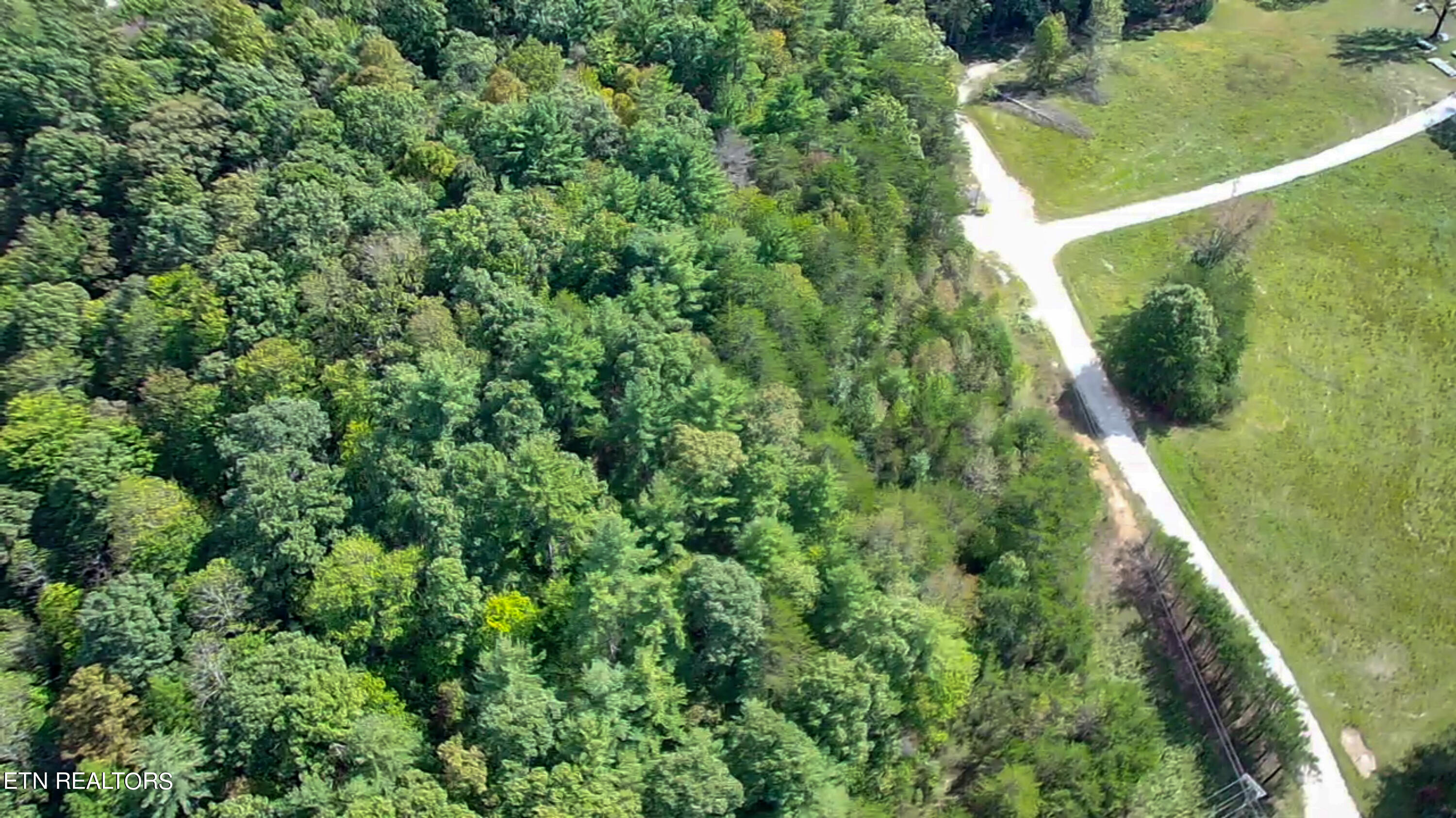 Hollow Lane Oneida, TN 37841 - Photo 3 of 11 IMG_2941