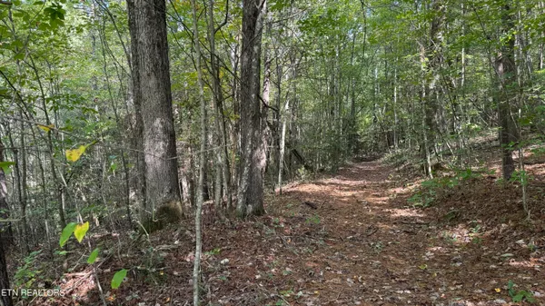 $85,000 | Hollow Lane, Oneida, TN 37841