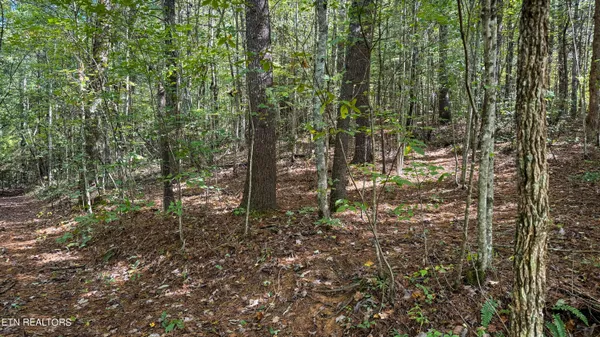 $85,000 | Hollow Lane, Oneida, TN 37841