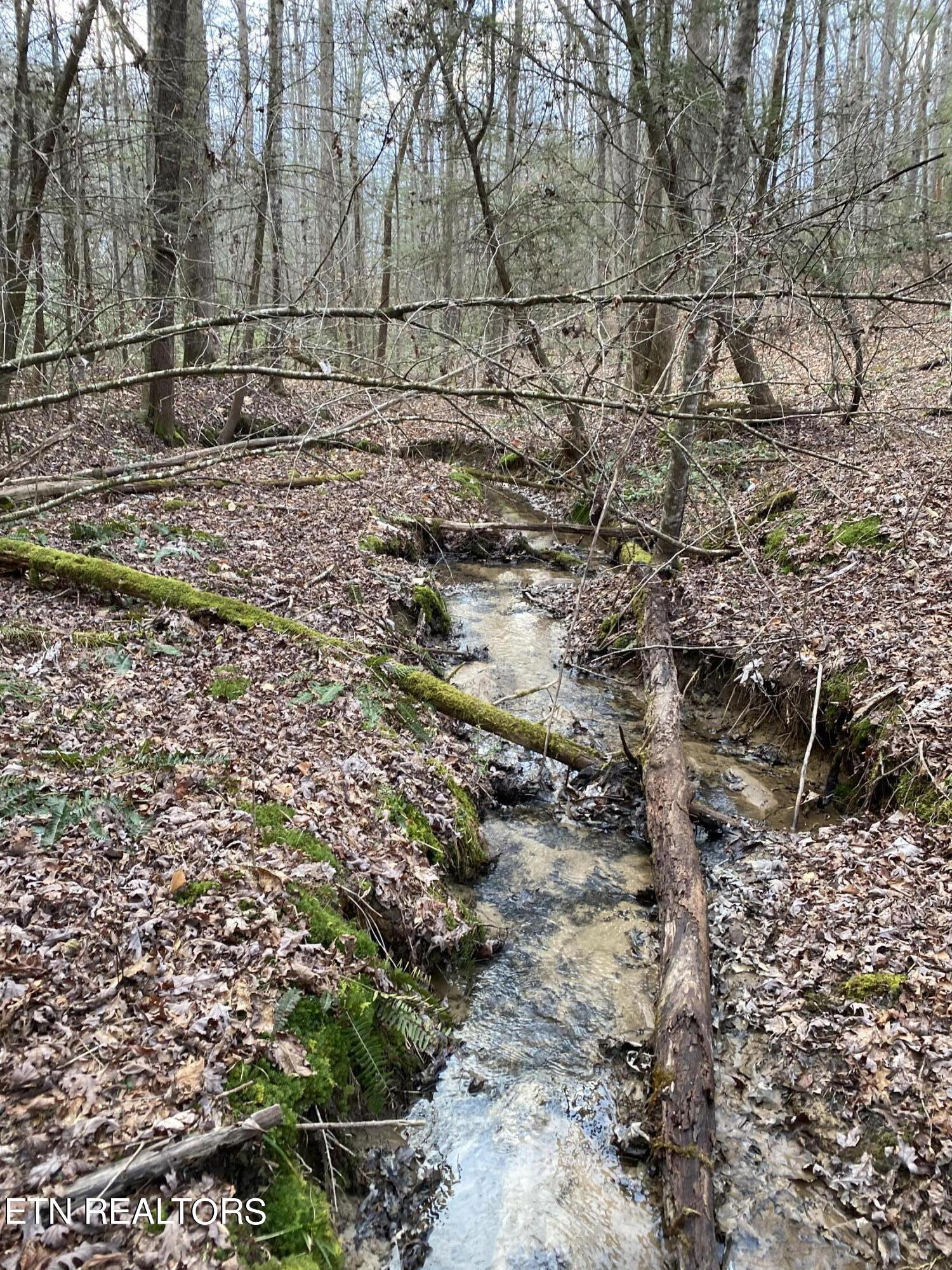 Hollow Lane Oneida, TN 37841 - Photo 7 of 11 IMG_4656