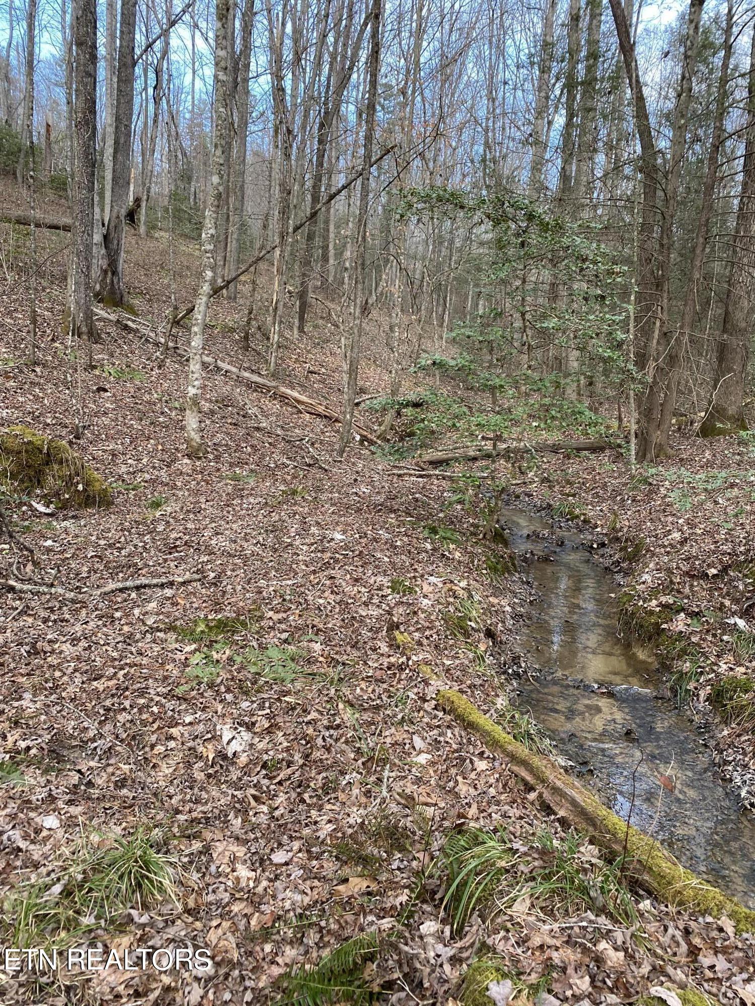 Hollow Lane Oneida, TN 37841 - Photo 8 of 11 IMG_4653