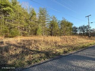 Hollow Lane Oneida, TN 37841 - Photo 10 of 11 IMG_5571