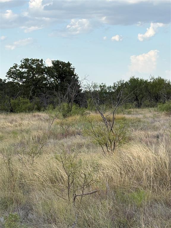 271 Wyatt Road Jacksboro, TX 76458 - Photo 7 of 40 Additional content