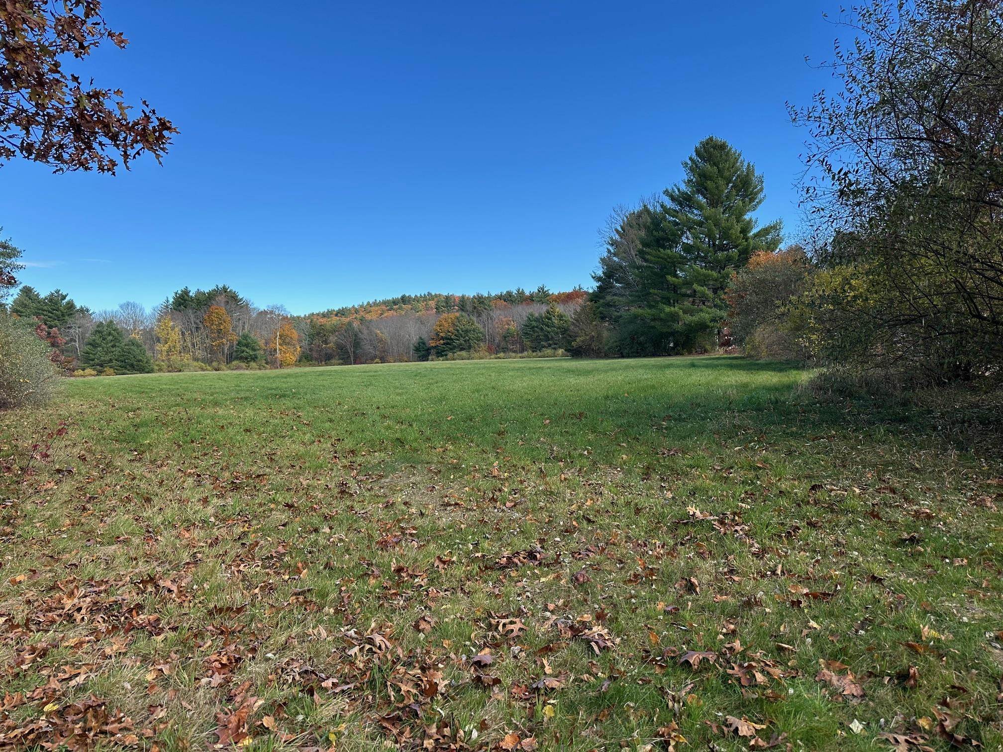 Claude Road Amherst, NH 03031 - Photo 4 of 4