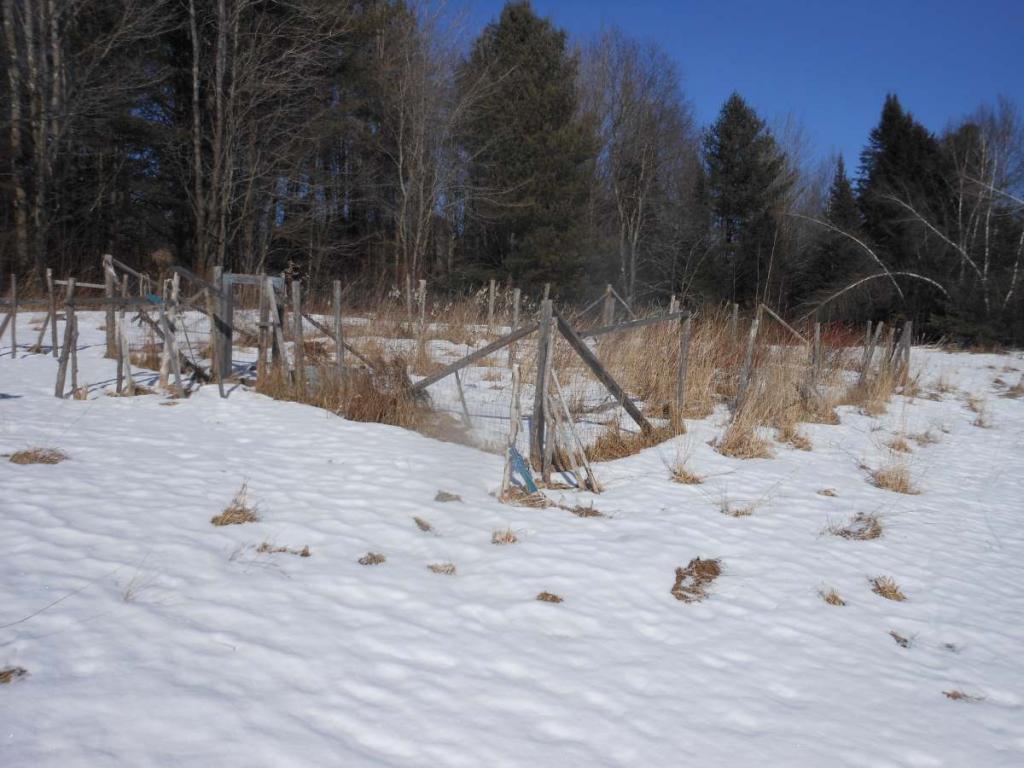 147 Mudgett Hill Road Johnson, VT 05656 - Photo 3 of 12