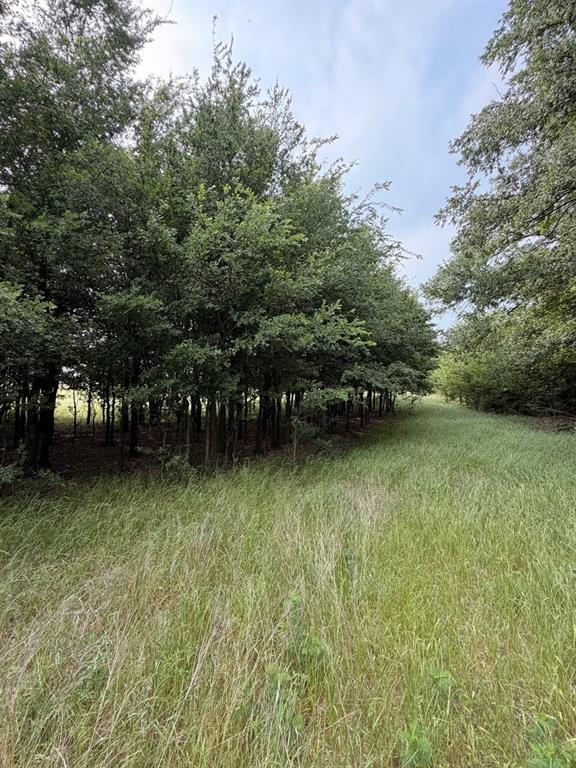 345 County Road 3346 Hubbard, TX 76648 - Photo 11 of 13