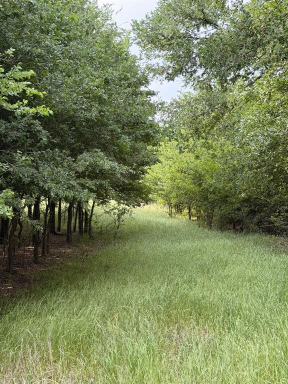 345 County Road 3346 Hubbard, TX 76648 - Photo 12 of 13