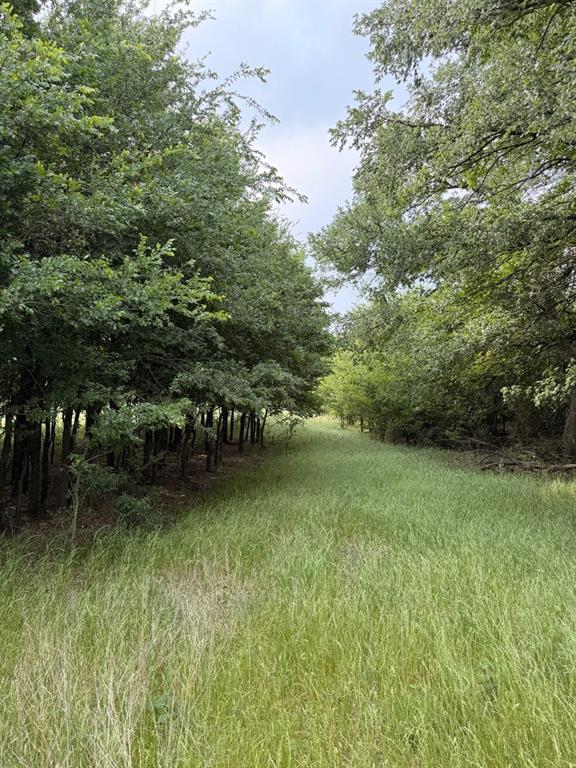 345 County Road 3346 Hubbard, TX 76648 - Photo 13 of 13