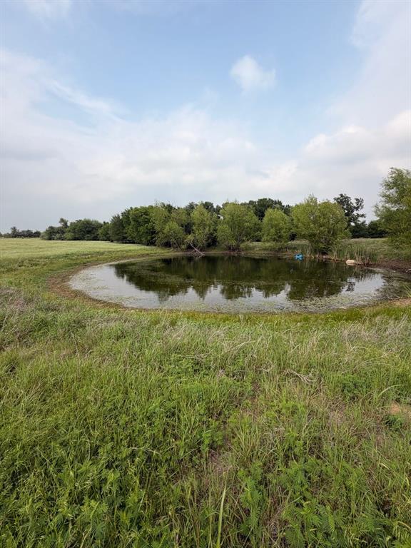 345 County Road 3346 Hubbard, TX 76648 - Photo 3 of 13