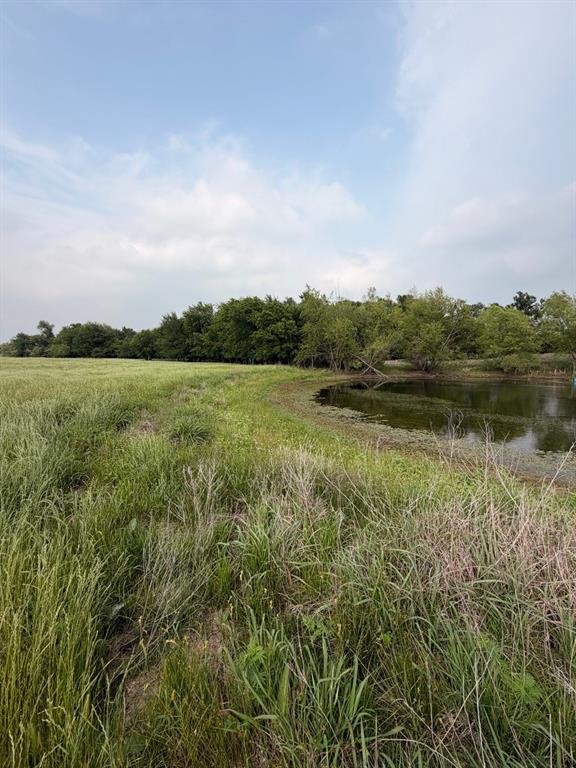 345 County Road 3346 Hubbard, TX 76648 - Photo 4 of 13