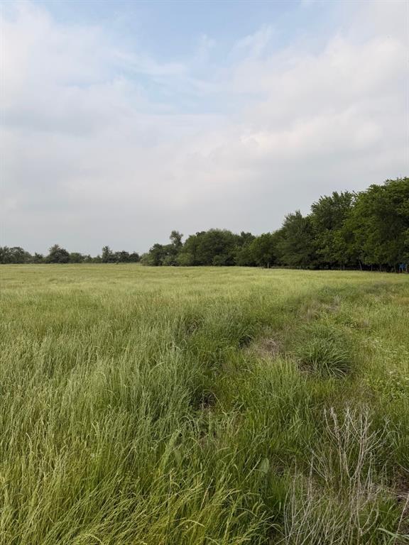 345 County Road 3346 Hubbard, TX 76648 - Photo 5 of 13