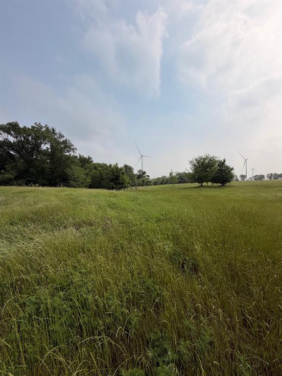 345 County Road 3346 Hubbard, TX 76648 - Photo 6 of 13