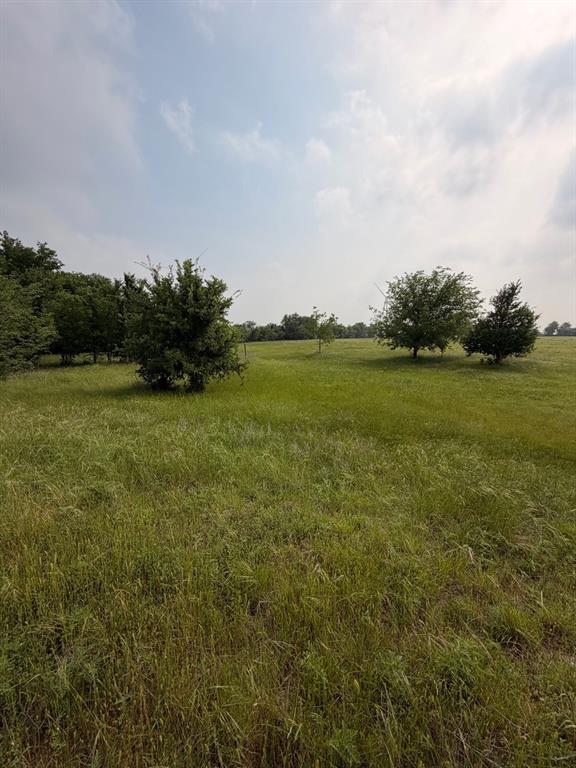 345 County Road 3346 Hubbard, TX 76648 - Photo 7 of 13