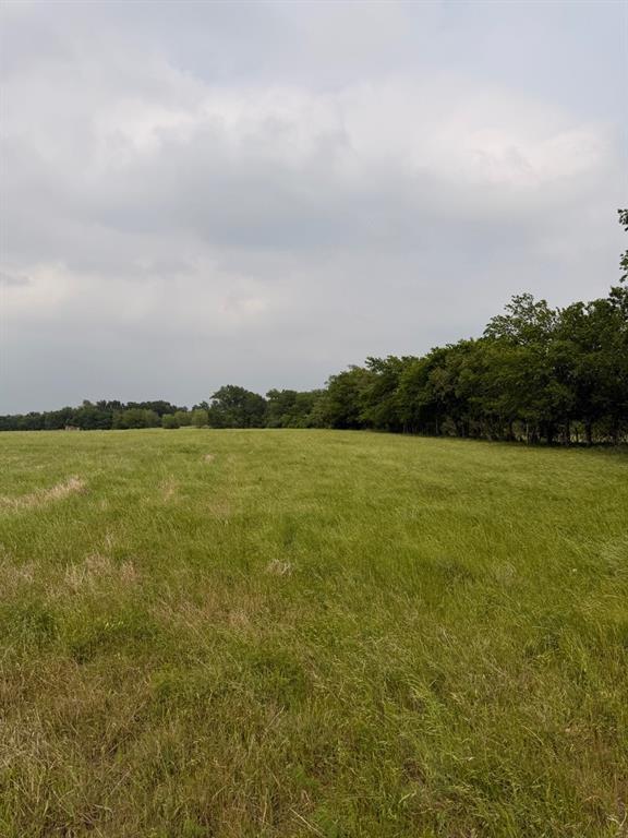 345 County Road 3346 Hubbard, TX 76648 - Photo 8 of 13