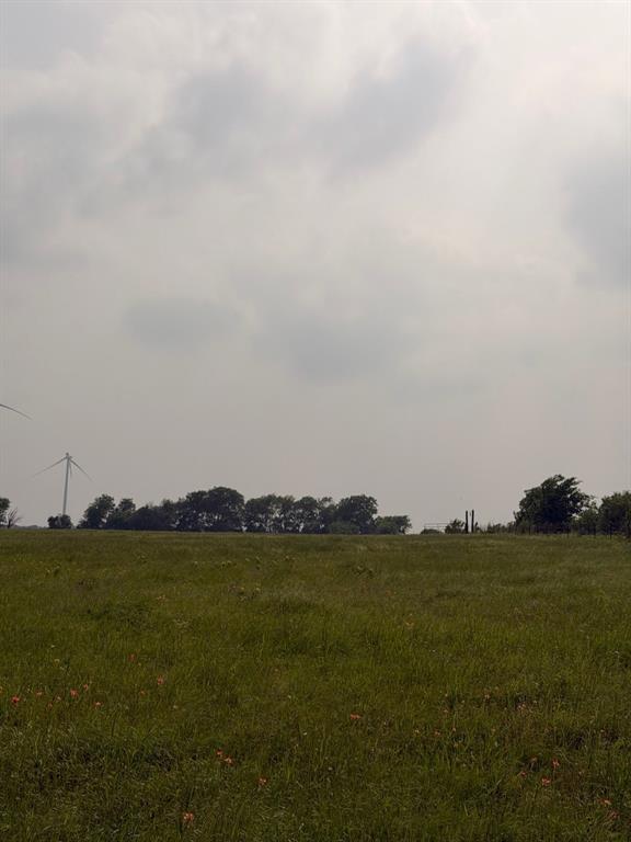345 County Road 3346 Hubbard, TX 76648 - Photo 9 of 13