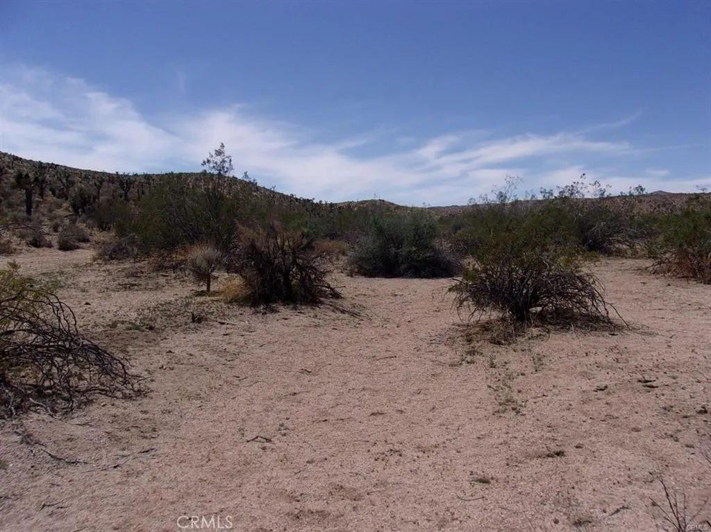 0 Ocotillo Way Apple Valley, CA 92308 - Photo 2 of 4 a view of a dry yard with mountains in the background
