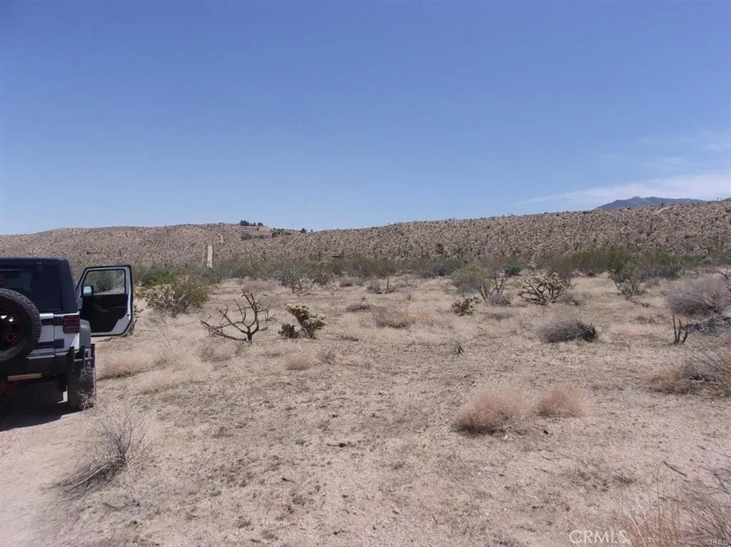 0 Ocotillo Way Apple Valley, CA 92308 - Photo 3 of 4 a view of a dry yard with trees