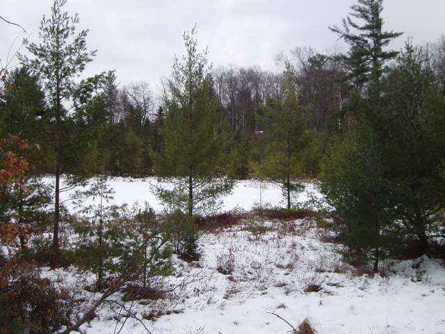 Lot 1 Spider Lake Road Rhinelander, WI 54501 - Photo 4 of 7 Gallery Image 4