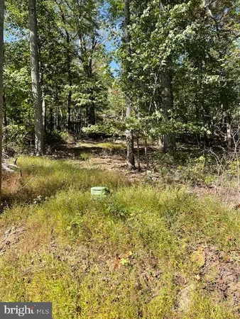 a view of a yard with an trees