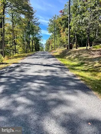 a view of a yard with a trees