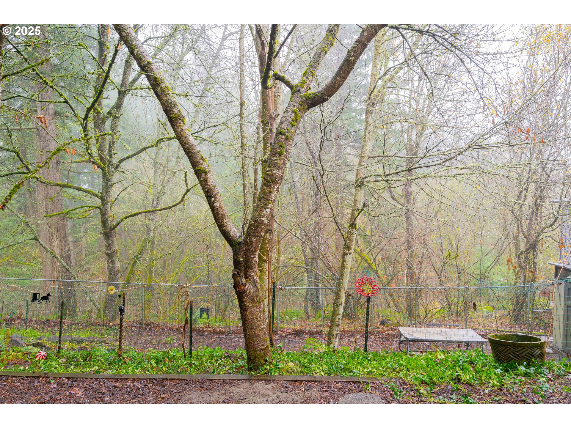 3270 Northwest Ivy Lane Camas, WA 98607 - Photo 23 of 26 a view of park with large trees