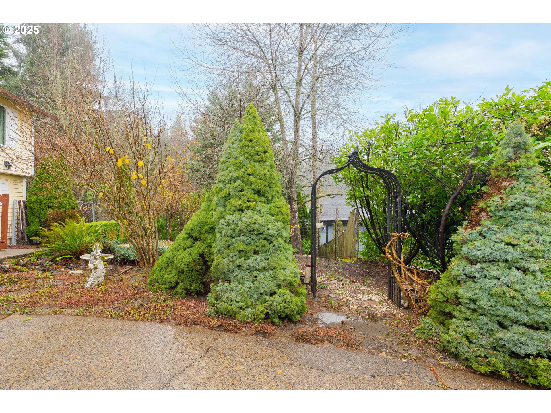 3270 Northwest Ivy Lane Camas, WA 98607 - Photo 25 of 26 a backyard of a house with lots of green space