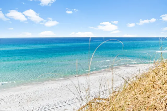 $2,495,000 | 131 Clareon Drive, Inlet Beach, FL 32461