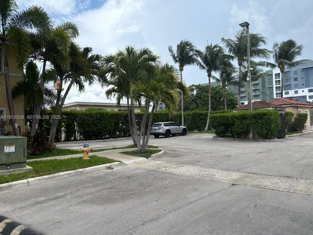 a view of a park with palm trees