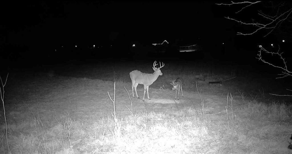 2317 Maple Road Fort Scott, KS 66701 - Photo 35 of 70