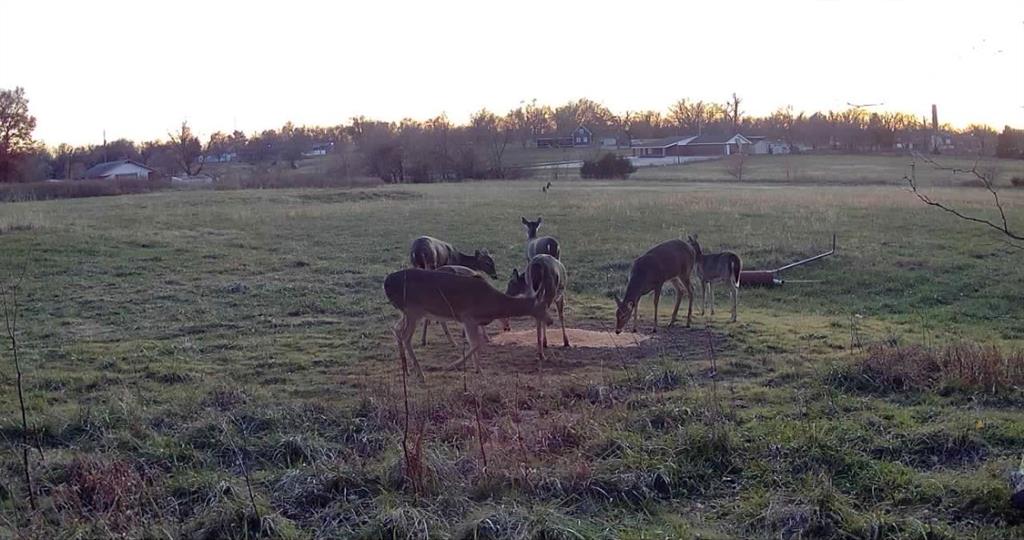 2317 Maple Road Fort Scott, KS 66701 - Photo 36 of 70