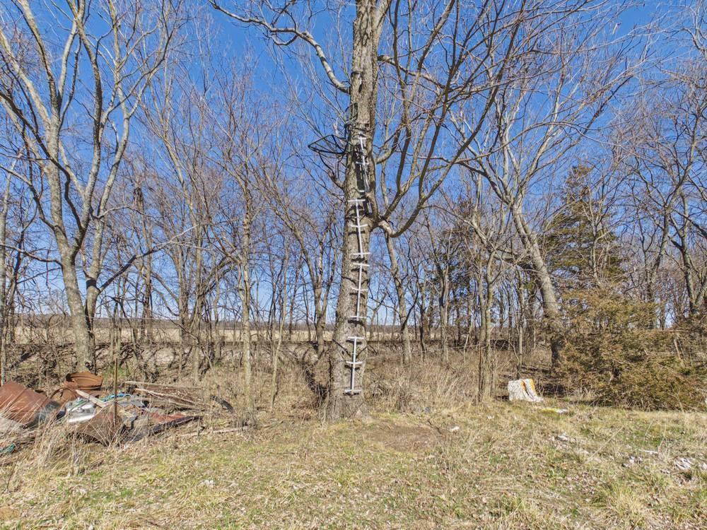 2317 Maple Road Fort Scott, KS 66701 - Photo 46 of 70