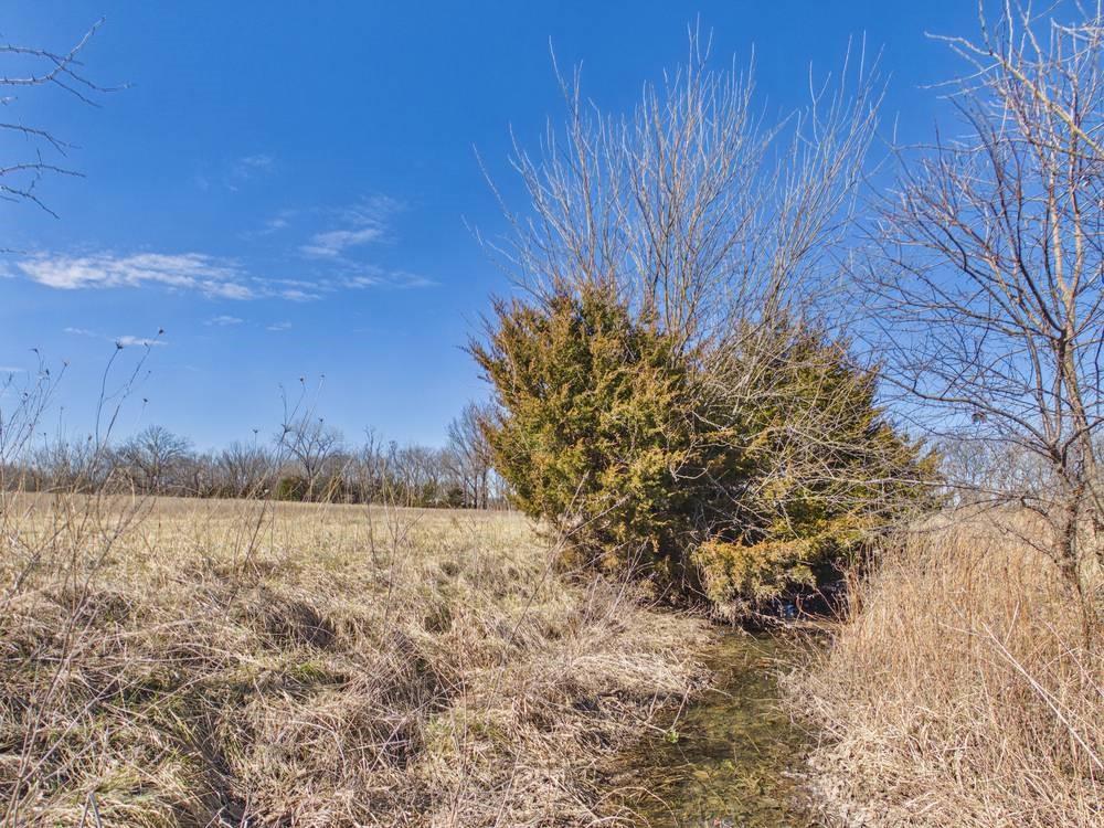 2317 Maple Road Fort Scott, KS 66701 - Photo 51 of 70