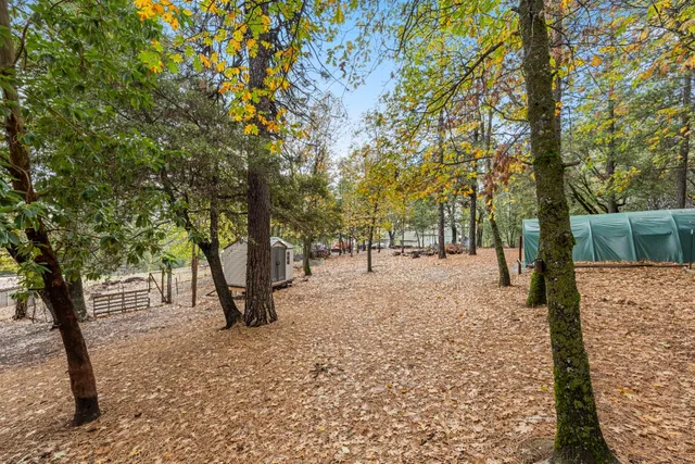 a view of outdoor space with garden