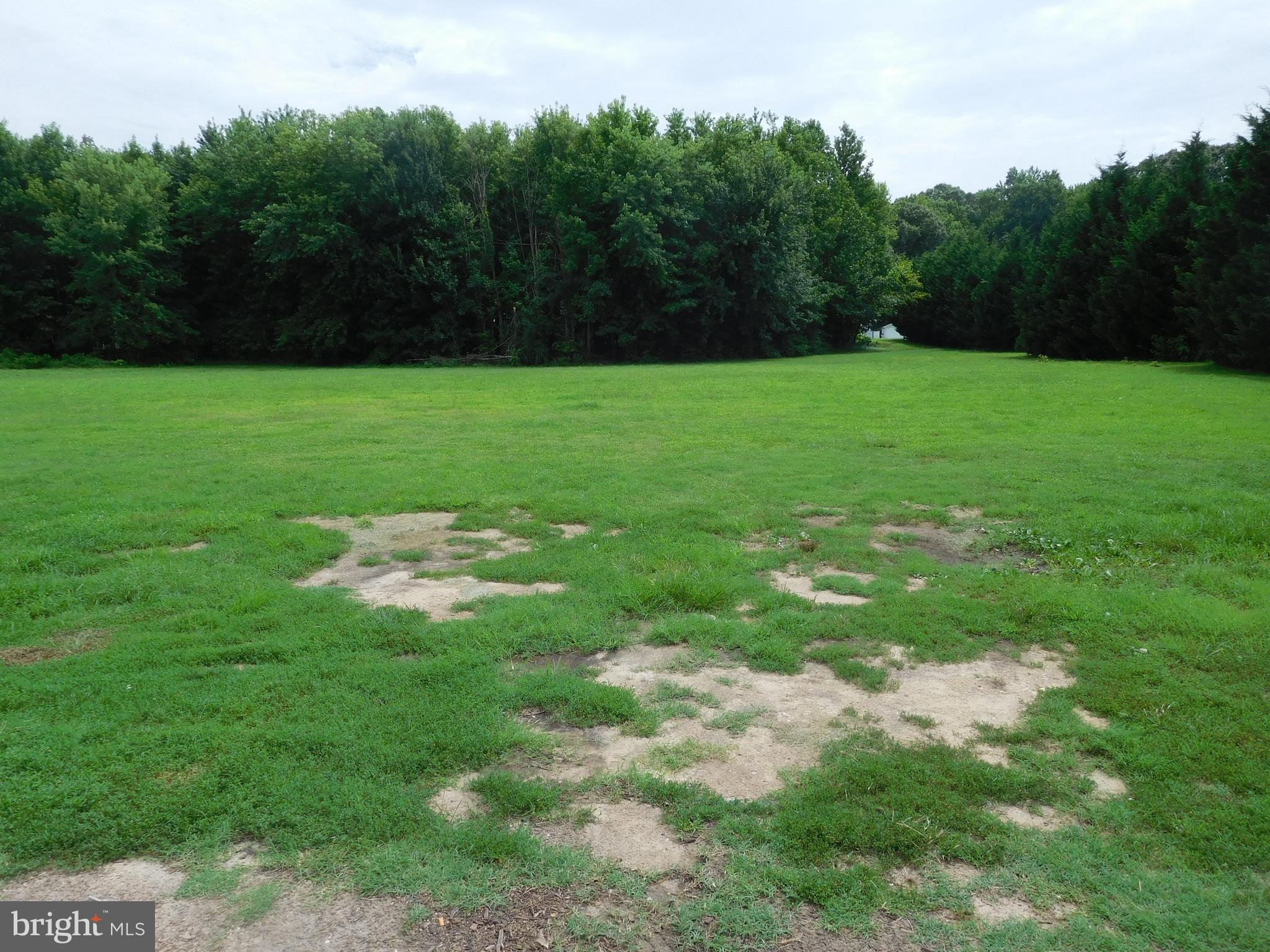 1119 Seneca Road Middle River, MD 21220 - Photo 6 of 8 a view of a green yard with large trees