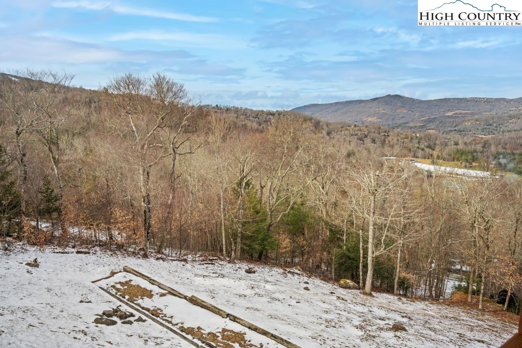 126 Rock Spring Circle Sugar Mountain, NC 28604 - Photo 29 of 29 a view of a backyard of a house