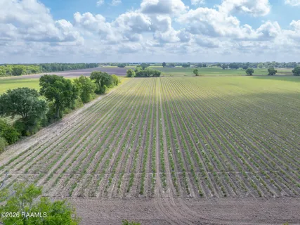 $399,999 | Tbd Leroy Road, Maurice, LA 70555