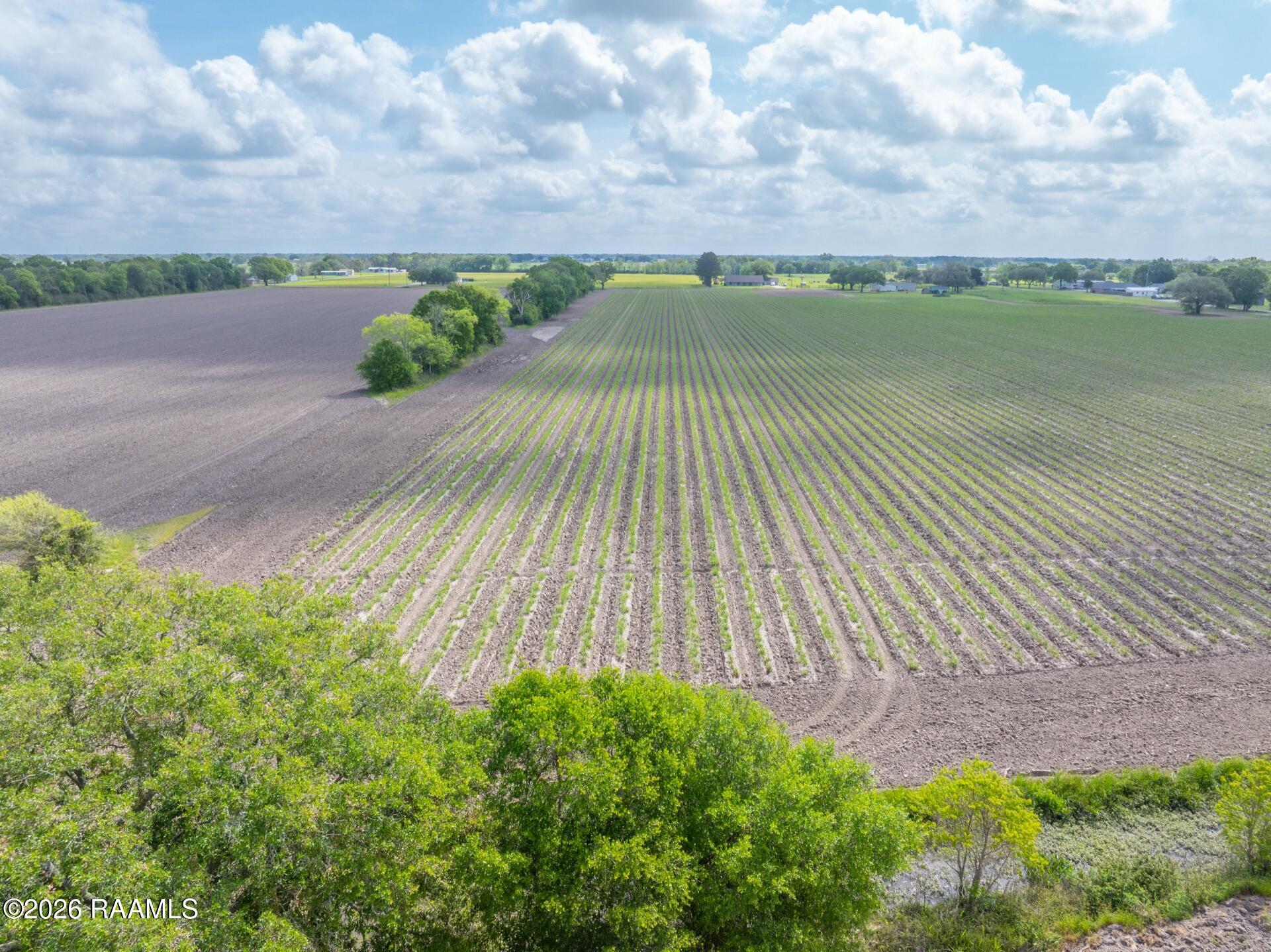 Tbd Leroy Road Maurice, LA 70555 - Photo 12 of 15 TBDLeroy-8
