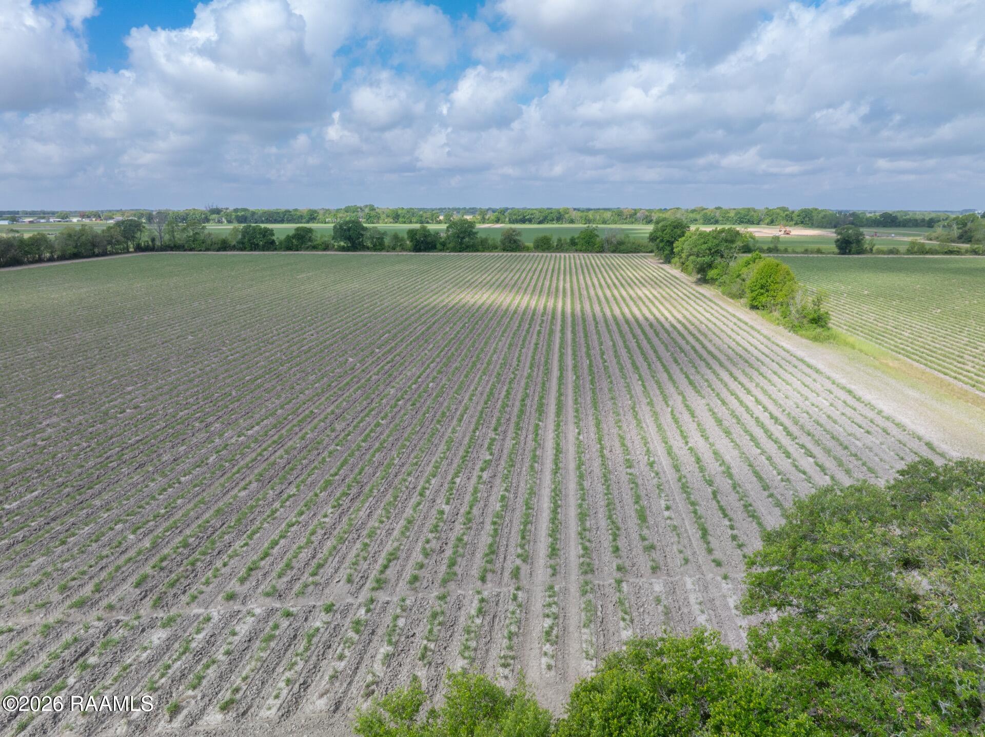 Tbd Leroy Road Maurice, LA 70555 - Photo 13 of 15 TBDLeroy-9