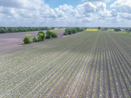 $399,999 | Tbd Leroy Road, Maurice, LA 70555