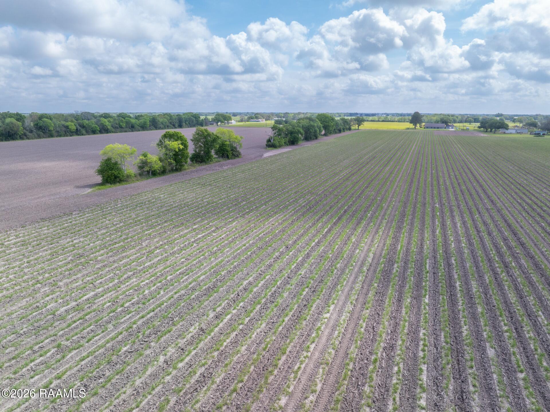 Tbd Leroy Road Maurice, LA 70555 - Photo 14 of 15 TBDLeroy-10