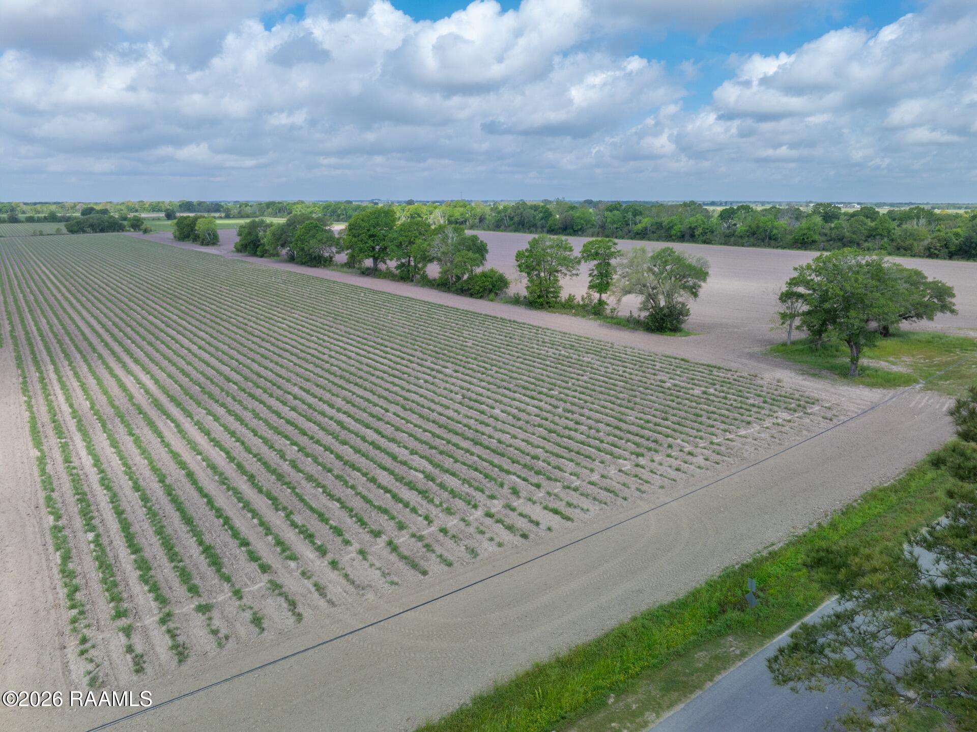 Tbd Leroy Road Maurice, LA 70555 - Photo 15 of 15 TBDLeroy-11