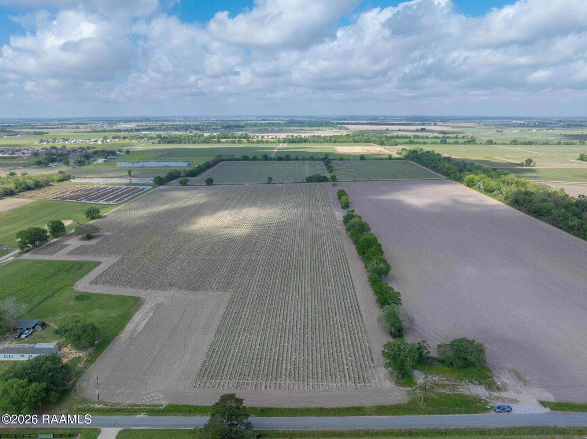 Tbd Leroy Road Maurice, LA 70555 - Photo 4 of 15 TBDLeroy-3