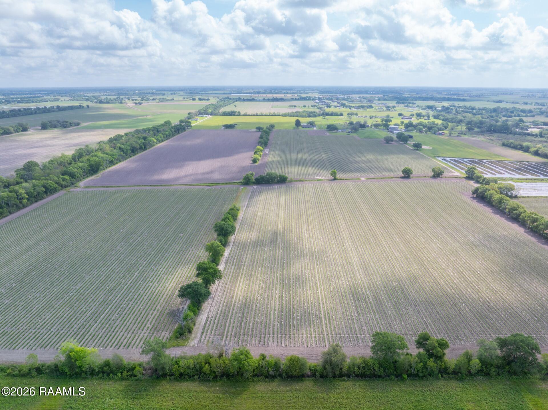 Tbd Leroy Road Maurice, LA 70555 - Photo 7 of 15 TBDLeroy-5