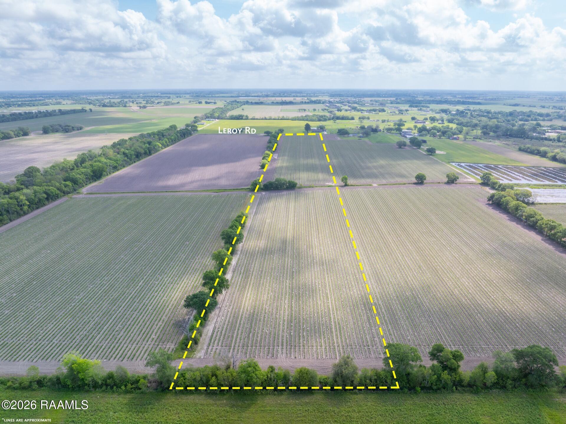 Tbd Leroy Road Maurice, LA 70555 - Photo 8 of 15 TBDLeroy-5a