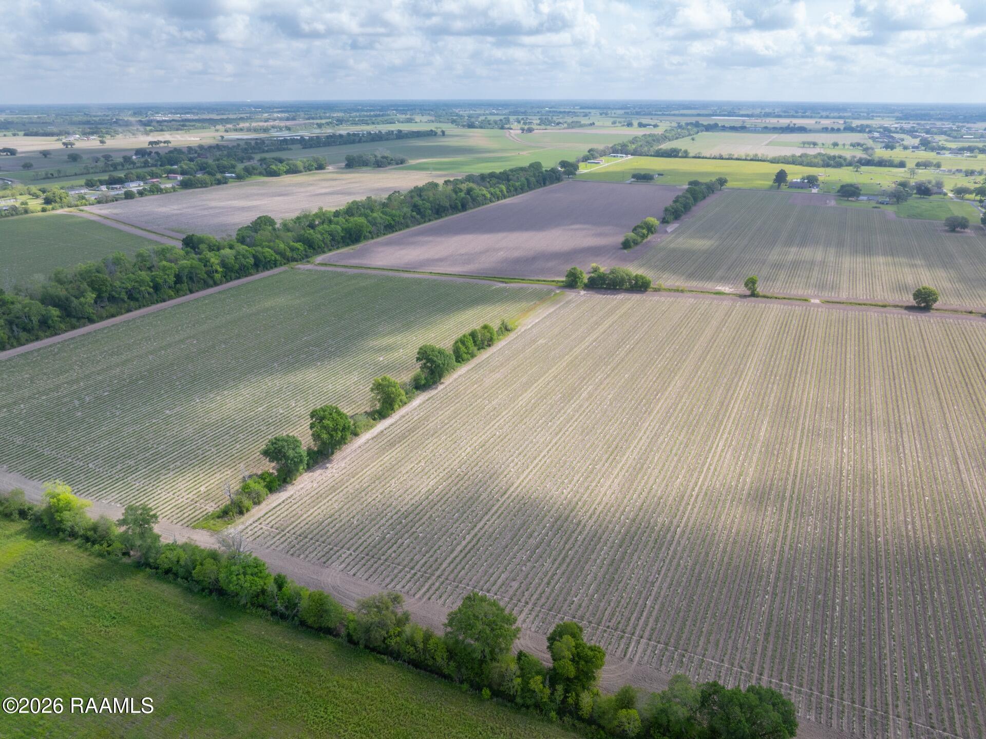 Tbd Leroy Road Maurice, LA 70555 - Photo 9 of 15 TBDLeroy-6
